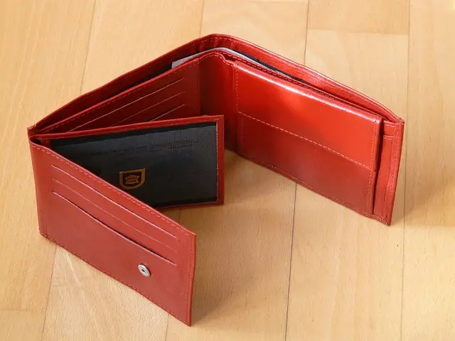 wallet, money, pay, shopping, red, wallet, wallet, wallet, wallet, wallet